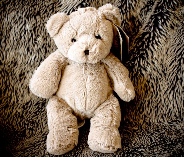 Milti Ener Bear